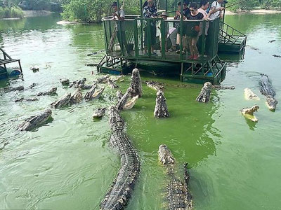 Rợn người du khách TQ dùng bè tạm bợ cho bầy cá sấu ăn