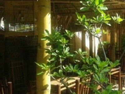 Ảnh bìa bài viết 378388