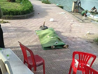 Ảnh bìa bài viết 378263