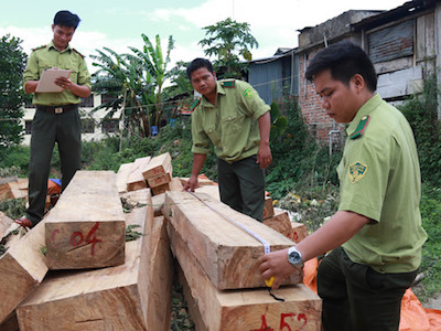 Vụ phá rừng Pơmu: Yêu cầu đình chỉ Chi cục trưởng Chi cục hải quan cửa khẩu Nam Giang