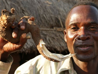 Tục kỳ lạ ở Malawi: Thuê người đưa con gái "vào đời"