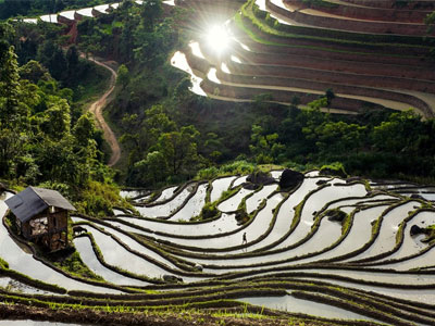 Tuyệt tác ruộng bậc thang Hoàng Su Phì mùa nước đổ
