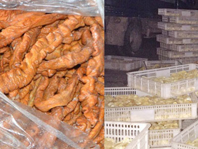 Ngăn chặn gần 2 vạn gà giống nhập lậu, 2 tấn lòng thối "đổ bộ" vào chợ dân sinh