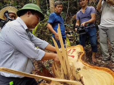 Ngày mai họp với Lào vụ phá rừng pơmu, báo chí bị "cấm cửa"
