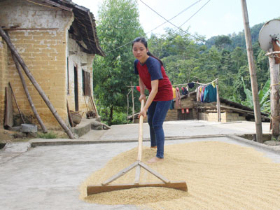 Nữ sinh dân tộc Nùng trở thành á khoa khối C cả nước
