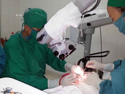 Yêu cầu kiểm điểm sai phạm Ban giám đốc BV Tai Mũi Họng TP HCM