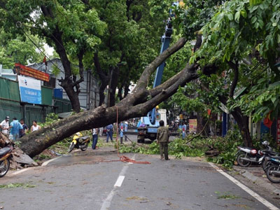 3 người chết và mất tích, 11 người bị thương trong mưa bão số 1