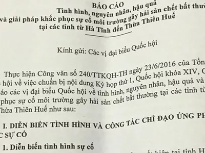 Báo cáo riêng về Formosa: Đầu tháng 8 sẽ công bố thiệt hại về môi trường