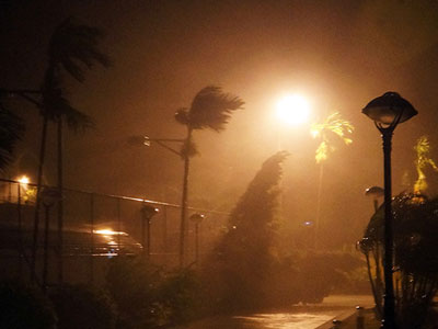 Bão quần thảo Đồ Sơn, cây cối xiêu vẹo trong gió lớn