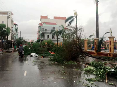 Bão quét qua, Nam Định "tơi bời"