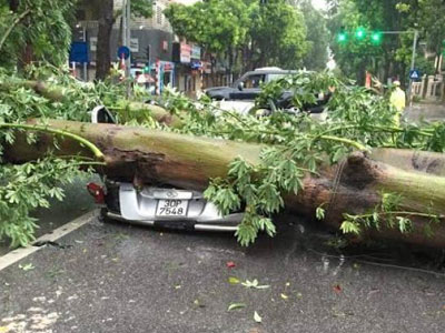 Hà Nội có gió giật cấp 8-9, mưa rất to, cây đổ nhiều nơi