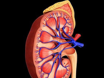 6 dấu hiệu nhận biết thận đang có vấn đề