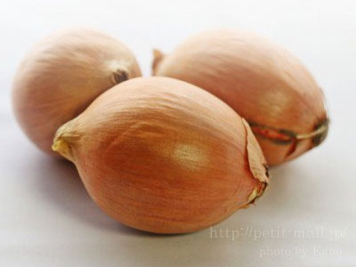 Ảnh bìa bài viết 381407