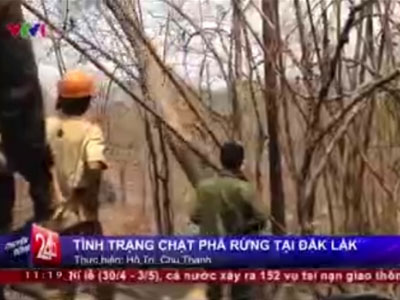 Dân mạng nói gì trước tin VTV "bị tố" dàn dựng cảnh phá rừng làm PS?
