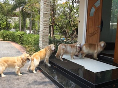 Những dấu hiệu báo trước may mắn đang đến với bạn