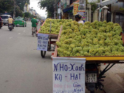Những loại trái cây Trung Quốc đội lốt hàng Việt