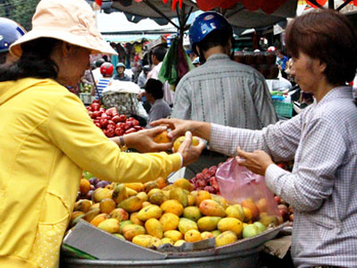 Xoài "tí hon" có xuất xứ Trung Quốc