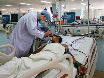 Cả gia đình nguy kịch vì ăn cá nóc