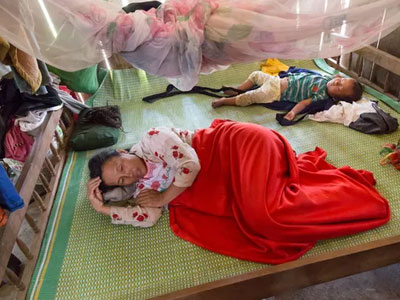 Phóng sự phá rừng của VTV: Trả lại sự trong sạch cho lương dân!