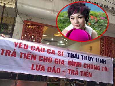 Thái Thùy Linh: "Pháp luật sẽ nghiêm trị hành vi vu khống"