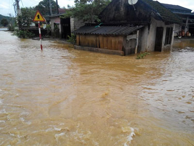 Ảnh bìa bài viết 384574