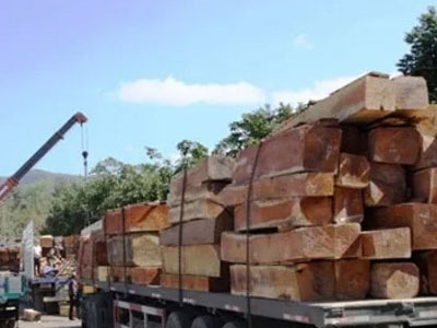 Mỹ, Trung Quốc vượt Lào về xuất gỗ vào Việt Nam