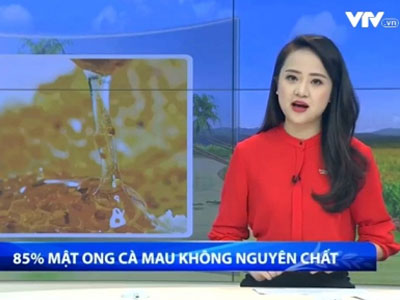 Cà Mau đề nghị chính phủ xử lý vụ đăng tin về "mật ong pha nước đường"
