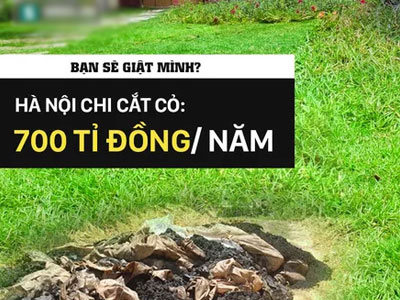 Cỏ ở Hà Nội quý hơn cỏ ở… Bắc Kạn, rác ở Hà Nội kém xa rác ở… Hà Tĩnh