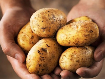 Hại sức khỏe vì ăn khoai tây sai cách