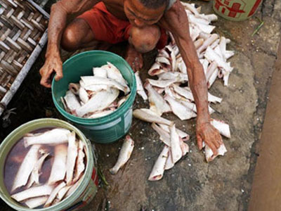 Thanh Hóa: Thiệt hại do mưa lũ ước tính 125 tỷ đồng
