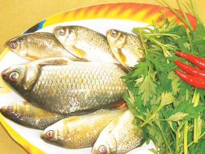 Chàng yêu lâu hơn nhờ ăn cá diếc