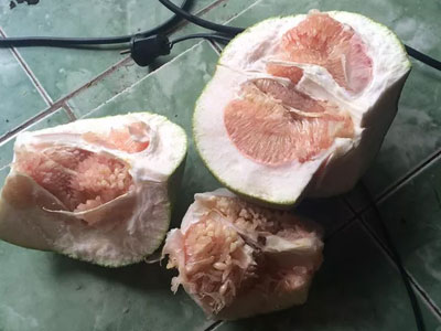 Tình chị dâu em chồng sứt mẻ nghiêm trọng chỉ vì "con người yêu anh trai"... không biết gọt bưởi