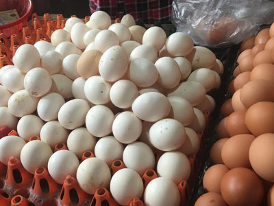 Bí ẩn nguồn gốc trứng gà ta giá rẻ bán đầy chợ