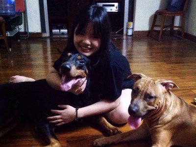 Chủ chú chó Doberman bị đâm: "May mắn chó của tôi qua khỏi rồi, còn kẻ đã đâm nó thì tôi không muốn gặp"