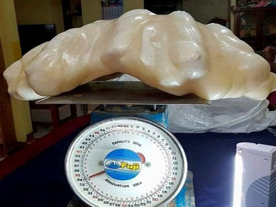 Khối ngọc trai khổng lồ 34 kg trong nhà ngư dân Philippines
