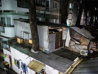 Cây trăm tuổi bị nhốt vào nhà ở Sài Gòn