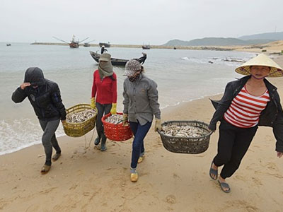 Ngư dân miền Trung được mời họp để xin ý kiến