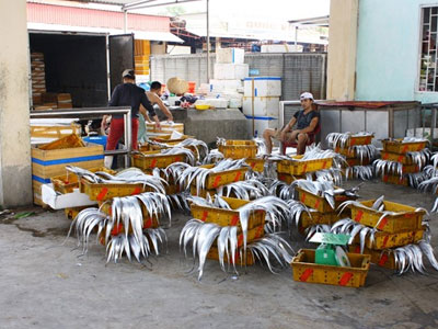 Ngư dân không nên đánh bắt cá ở 3 vùng nước xoáy và tầng đáy