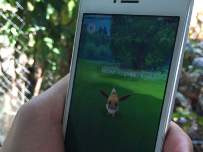 Thuê taxi "săn" Pokemon vì sợ đi xe máy bị công an bắt