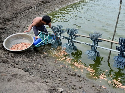 Chủ tịch TP HCM: Mùi hôi thối có thể bắt nguồn từ Đa Phước