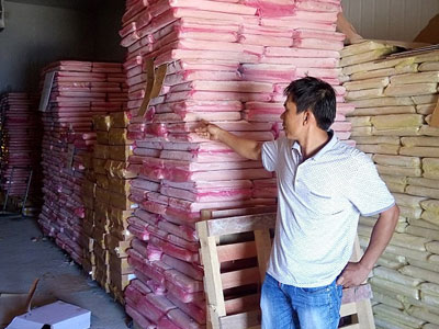 Quảng Bình: Thị trường cá biển đóng băng, nhiều doanh nghiệp điêu đứng