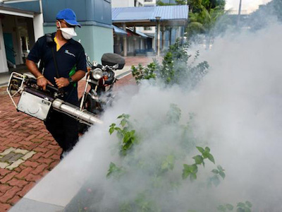 Virus Zika đe dọa hơn 2 tỉ người