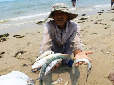 Bao giờ tiền Formosa bồi thường đến tay người dân miền Trung?