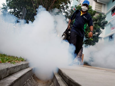 Nhiều nước khuyến cáo công dân không tới Singapore vì Zika