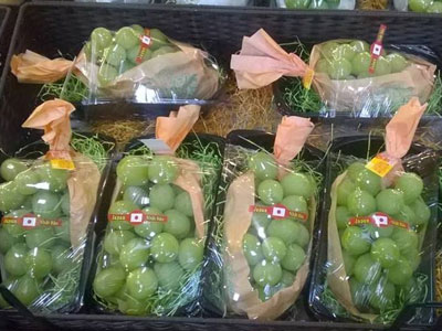 Nho xanh 1,3 triệu/kg: Đắt vô địch, Hà thành tranh mua