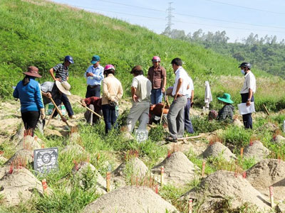 Di dời hàng trăm ngôi mộ bị đào “trộm” về xã Phước Đồng