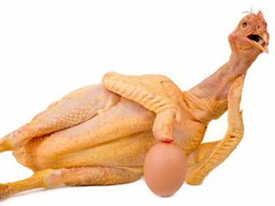 Ăn thịt gà nên tránh bộ phận nào không tốt sức khỏe