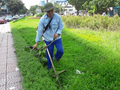 Công nhân tiếp tục cắt cỏ trên "tuyến phố 26 tỷ", tiết lộ lương "bèo"