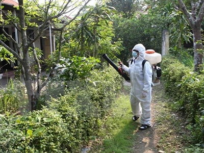 Điều tra, xác minh ổ dịch virus Zika tại tỉnh Trà Vinh
