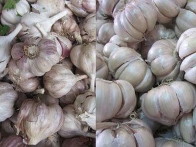 Bốn loại gia vị Tàu dân Việt thưởng thức hàng ngày